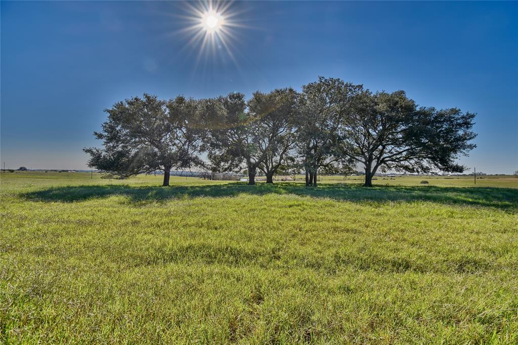 TBD 6 Pacen Place, Chappell Hill, TX 77426