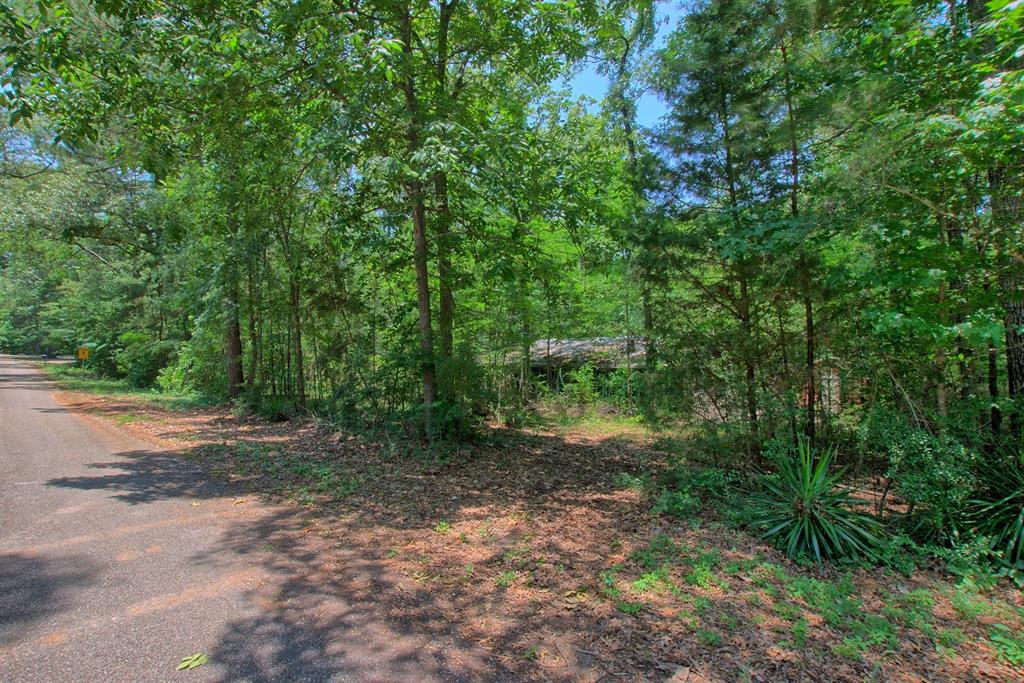 300 Forest Drive, Hemphill, TX 75948