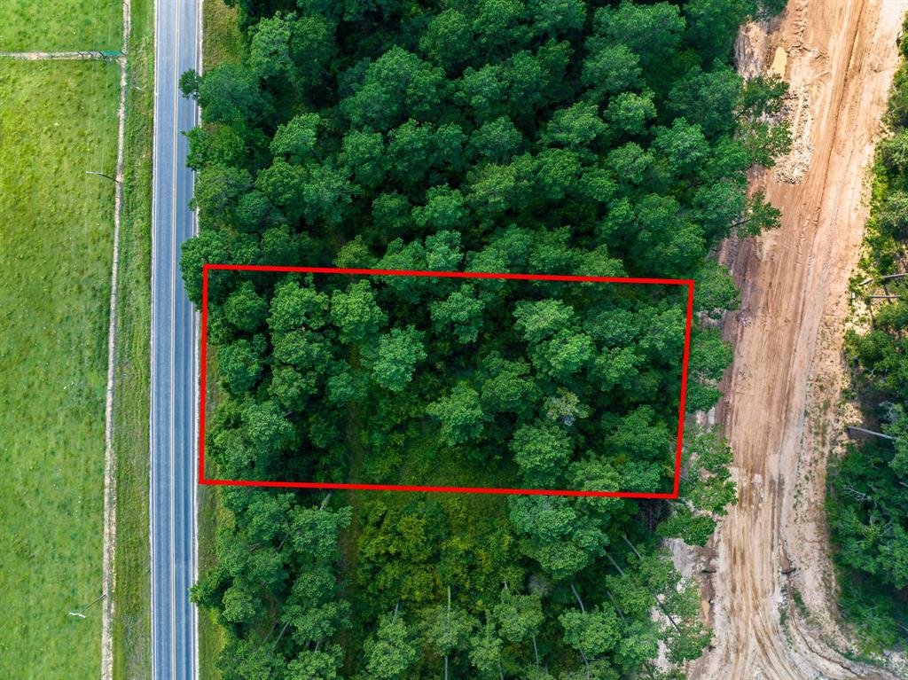 8728 Cedar Meadow Ln, Plantersville, TX 77363