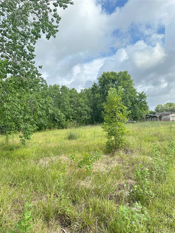 1251 Evergreen St, Fresno, TX 77545