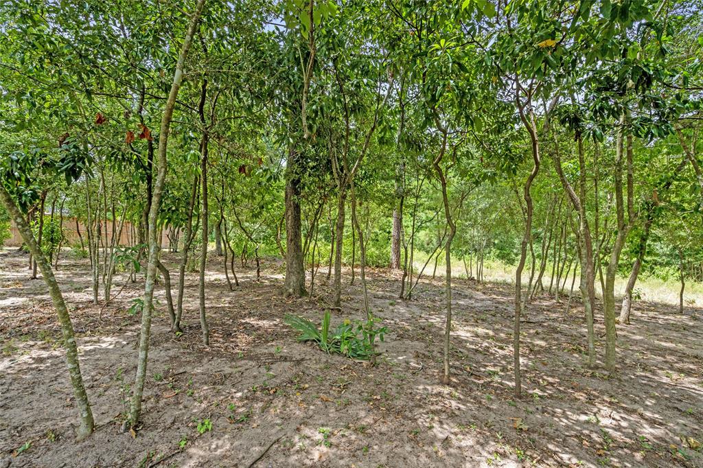 211 Magnolia Reserve Loop, Magnolia, TX 77354