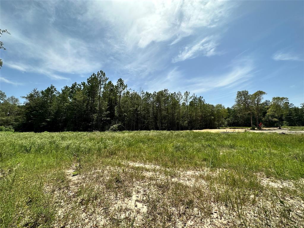 TBD CR 4472, Warren, TX 77664