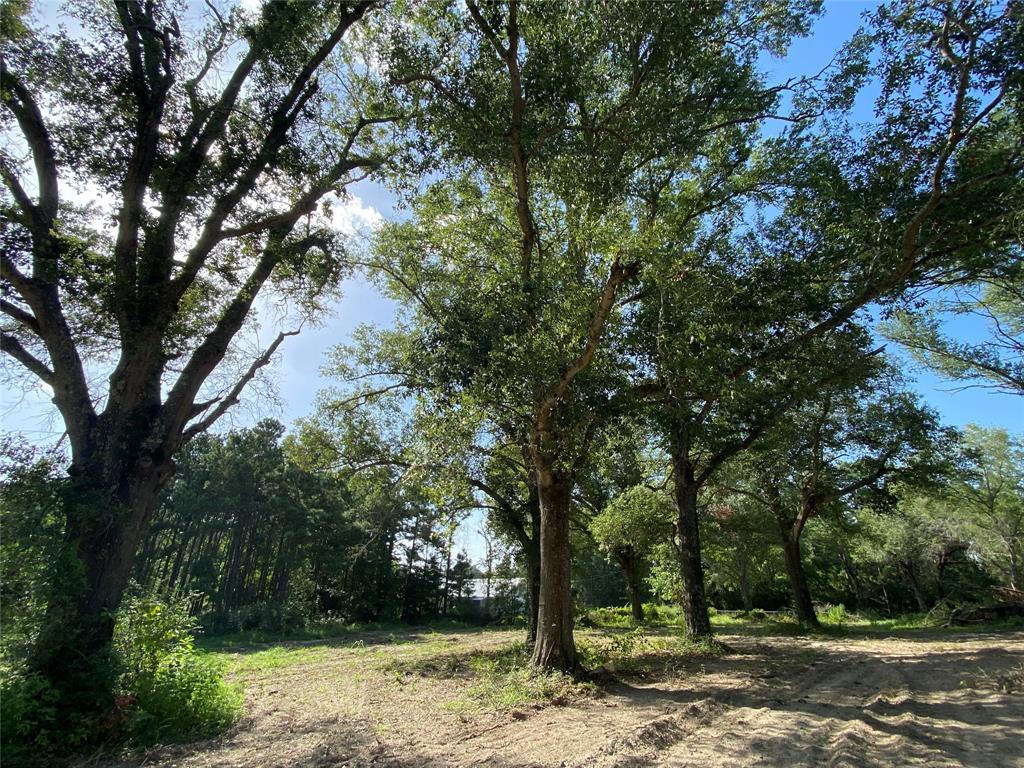 220 Glendale Church Rd, Groveton, TX 75862