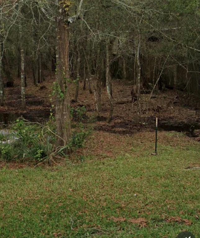 0 frontier, Willis, TX 77378