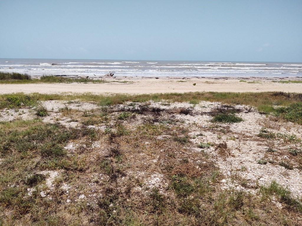 1703 Canal Dr, Sargent, TX 77414