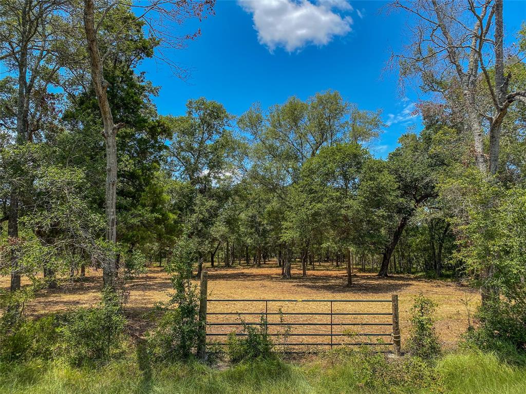 000 FM 3156, Van Vleck, TX 77482