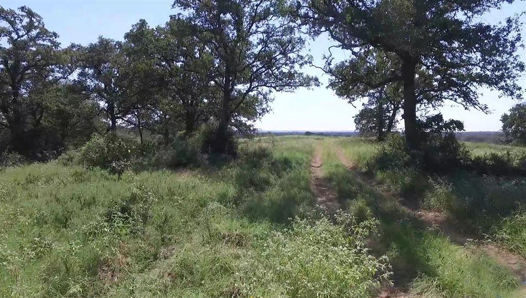 17324 FM 1361, Snook, TX 77878