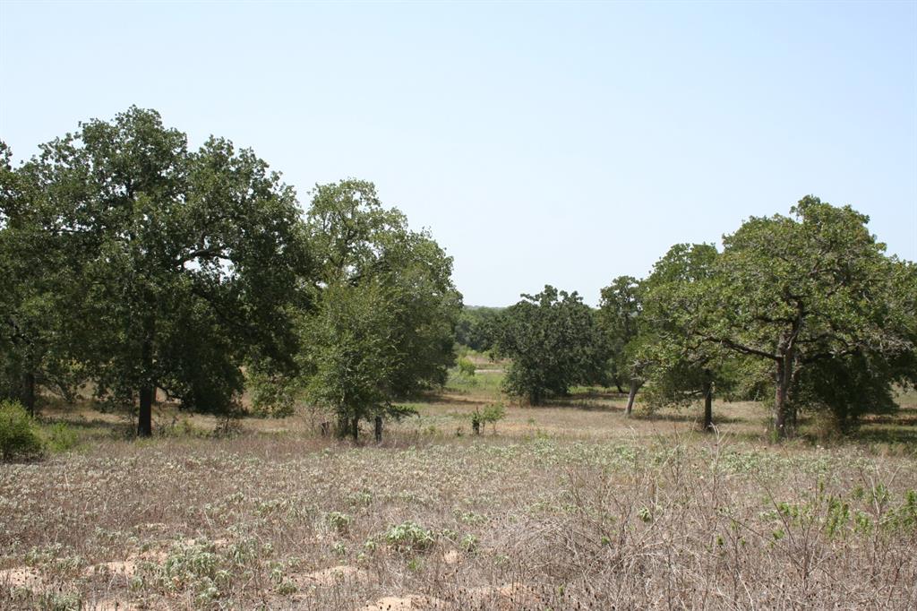 17324 FM 1361, Snook, TX 77878