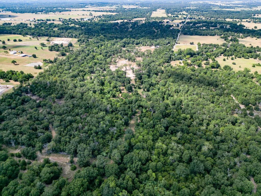 4746 Donaho Rd, North Zulch, TX 77872