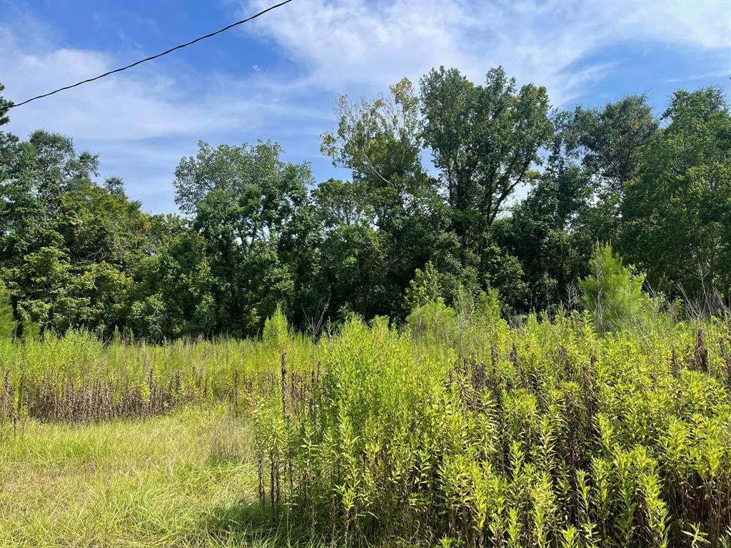 275 Pedigo St, Woodville, TX 75979