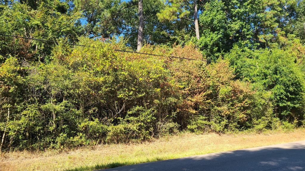 Lot 3 Mill Creek Rd, Magnolia, TX 77354