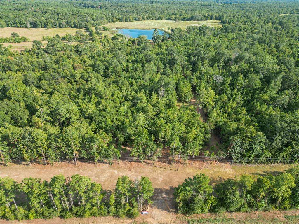 7100 State Highway 150 W, Coldspring, TX 77331