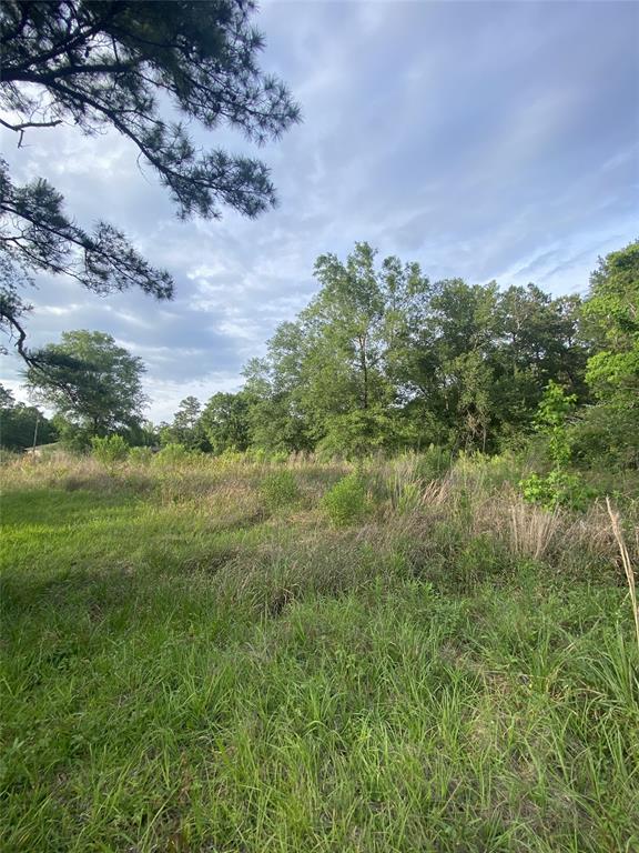 TBD 2 00 Farm to Market 563, Liberty, TX 77575