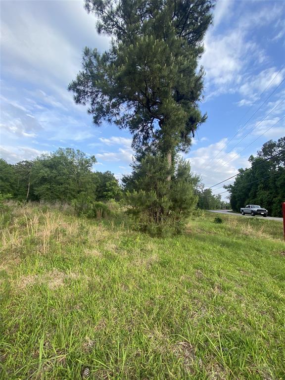 TBD 2 00 Farm to Market 563, Liberty, TX 77575