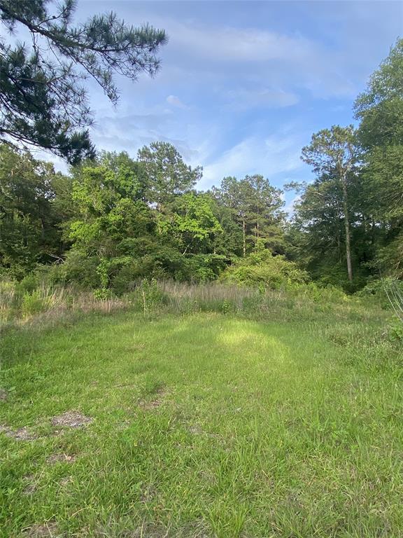 TBD 2 00 Farm to Market 563, Liberty, TX 77575