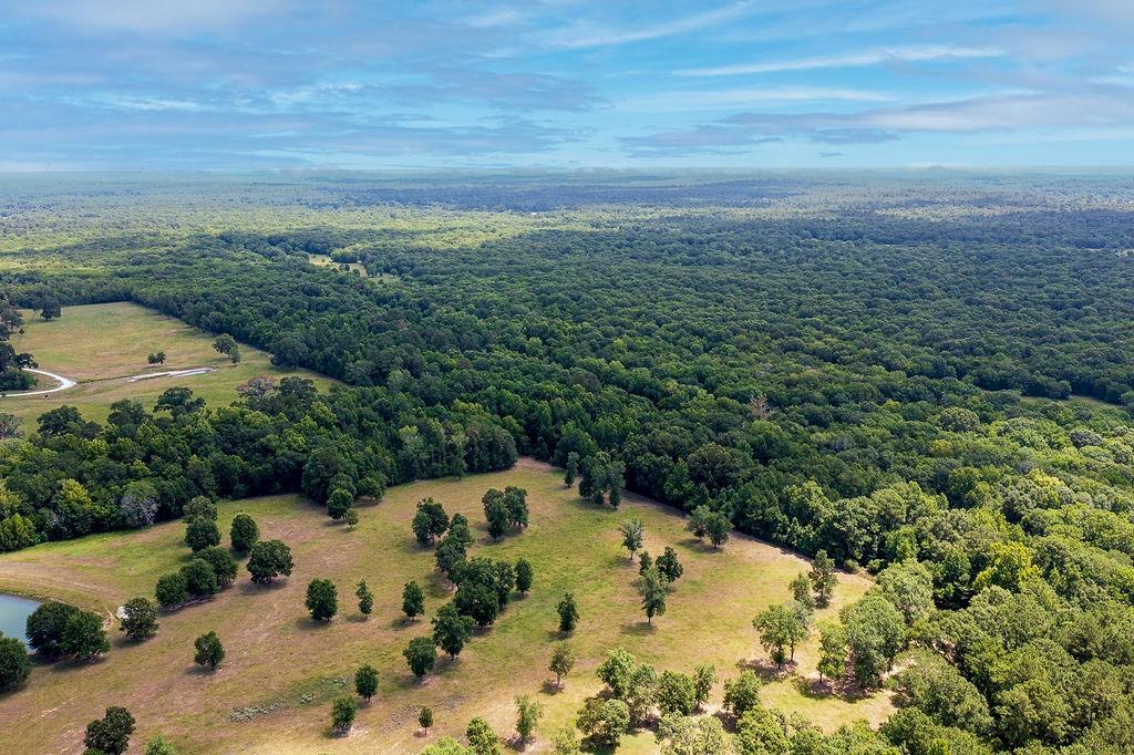 TBD FM 1486, Montgomery, TX 77356
