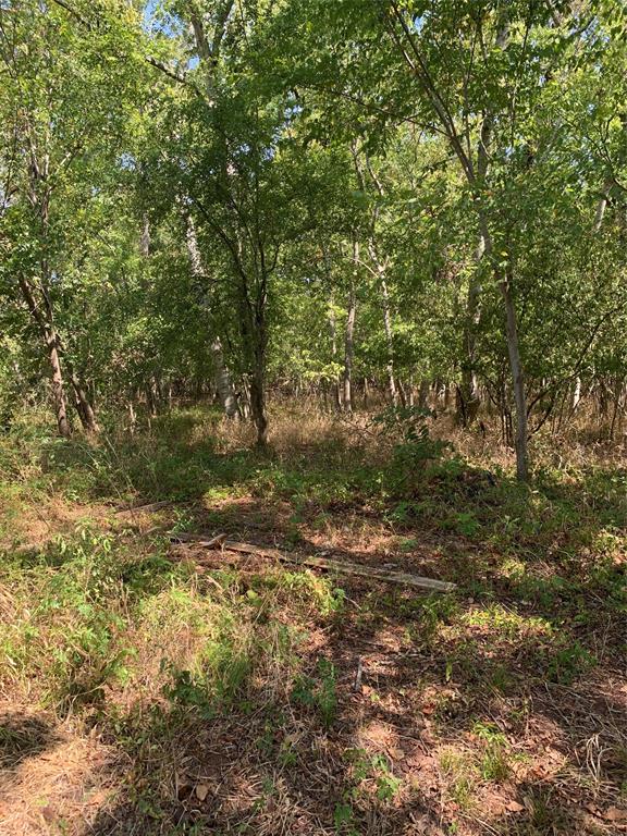 3802 Bowser Rd, Weston Lakes, TX 77441