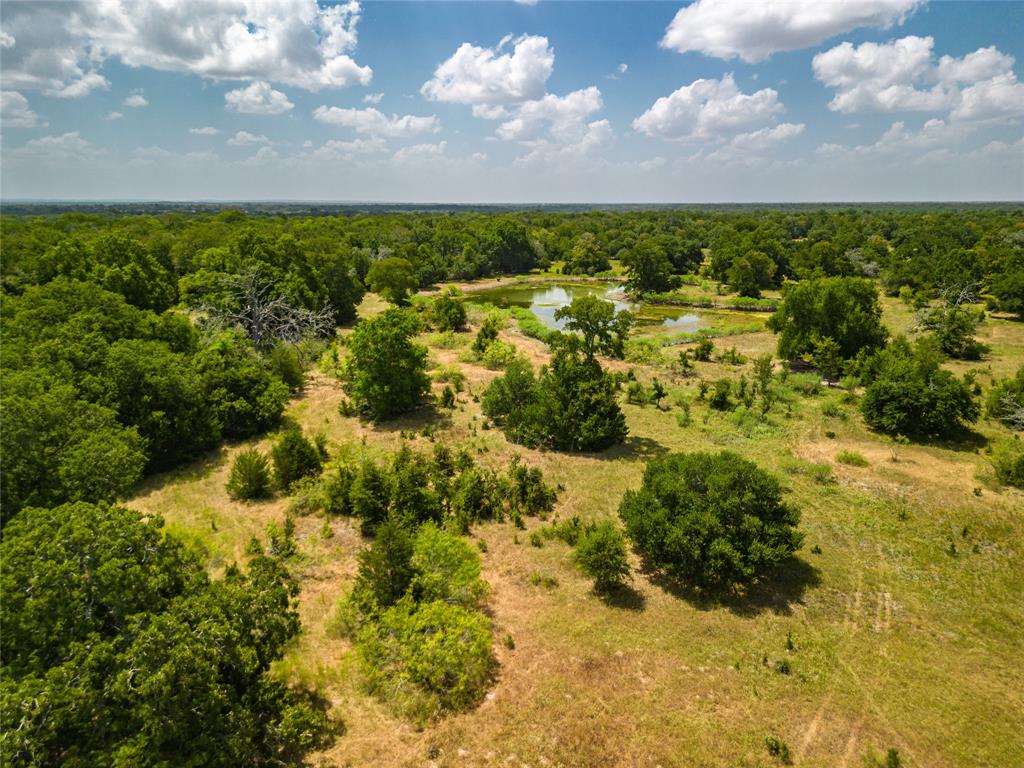 0 COUNTY ROAD 132, SOMERVILLE, TX 77879 Country Homes & Ranches