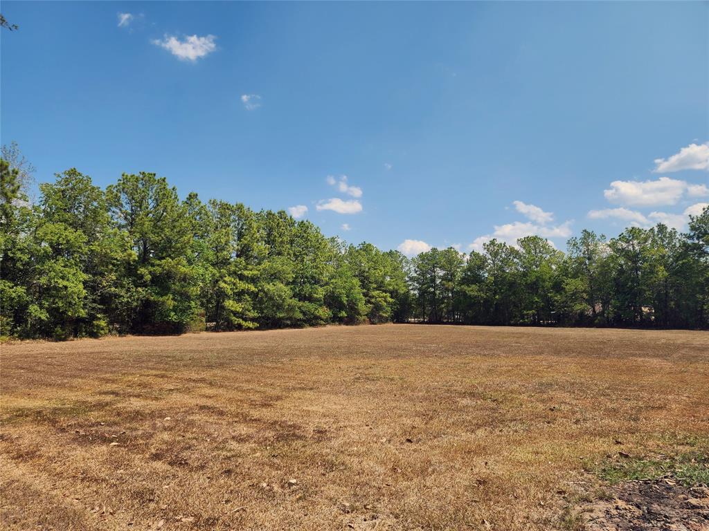 58 Fm 2797, Kenefick, TX 77535