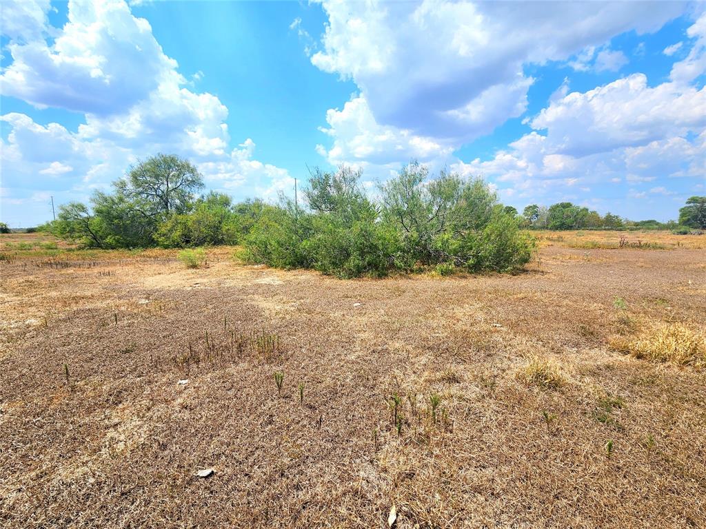 00 County Rd 324, Danevang, TX 77437