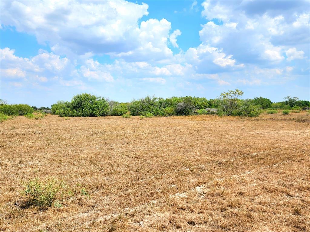 00 County Rd 324, Danevang, TX 77437