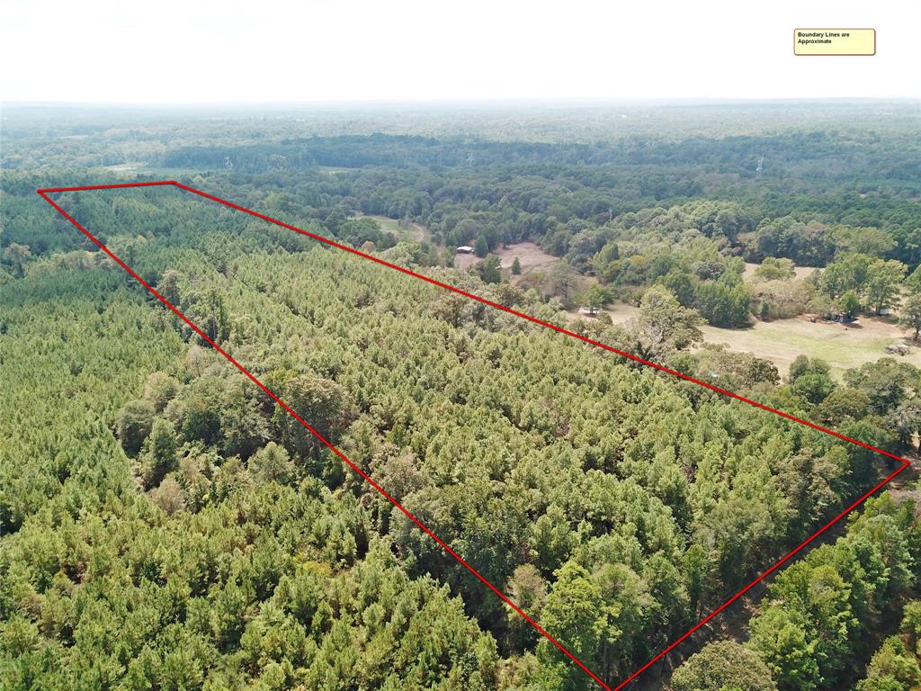 Nacogdoches County Land & Ranches for Sale t2 Ranches
