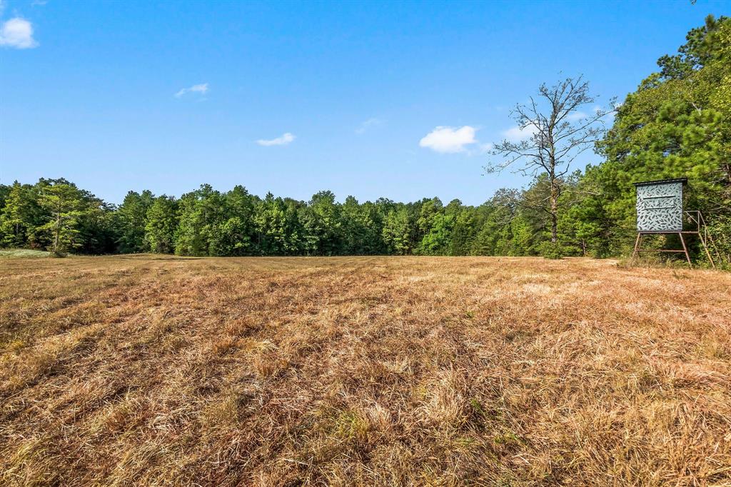 15863 Rogers Rd, Willis, TX 77378