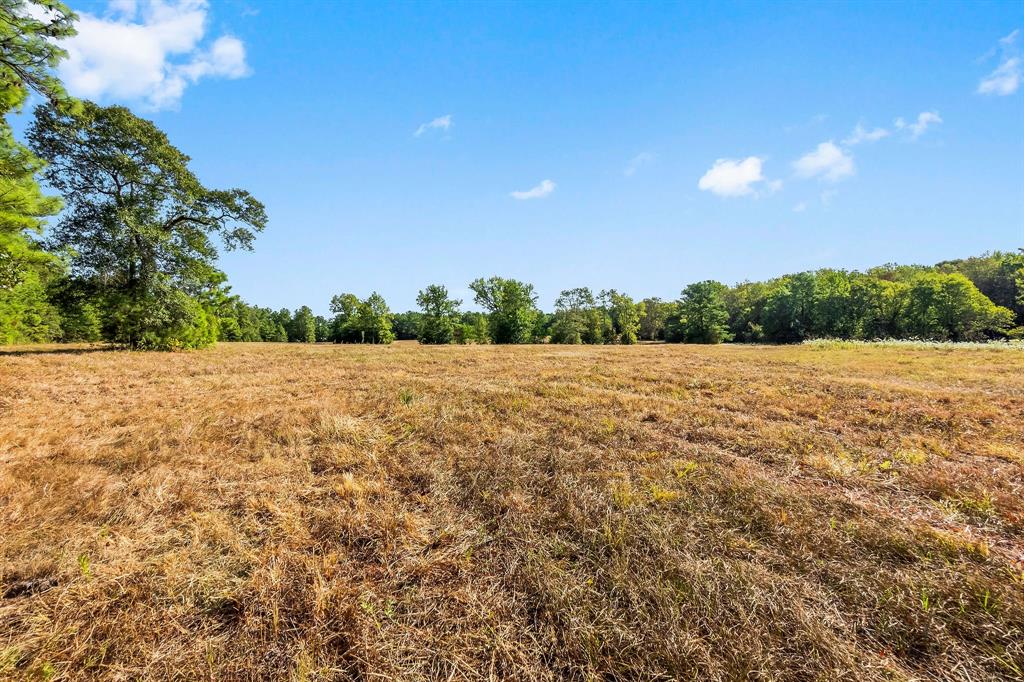 15863 Rogers Rd, Willis, TX 77378