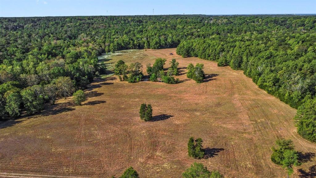 15863 Rogers Rd, Willis, TX 77378