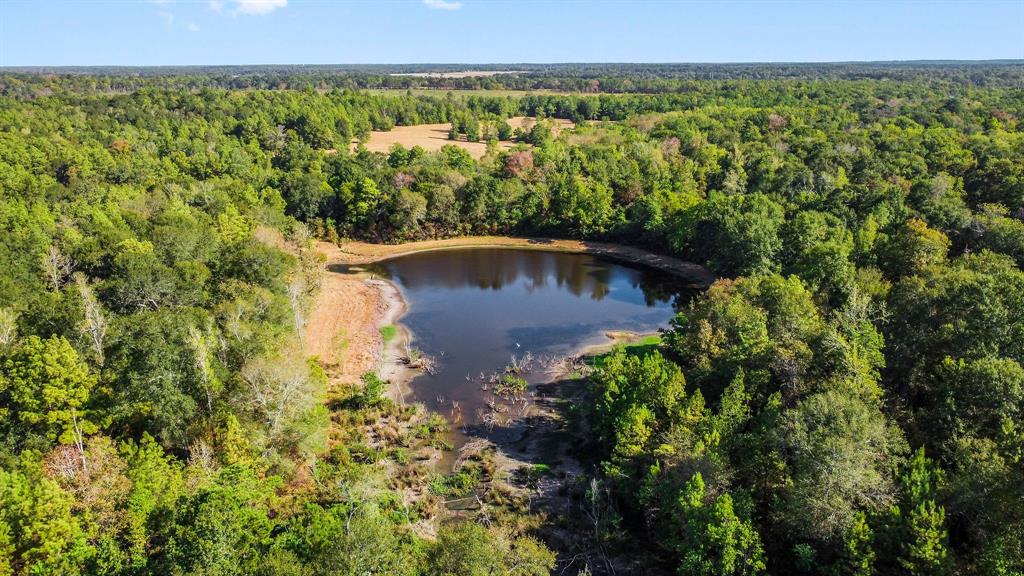 15863 Rogers Rd, Willis, TX 77378