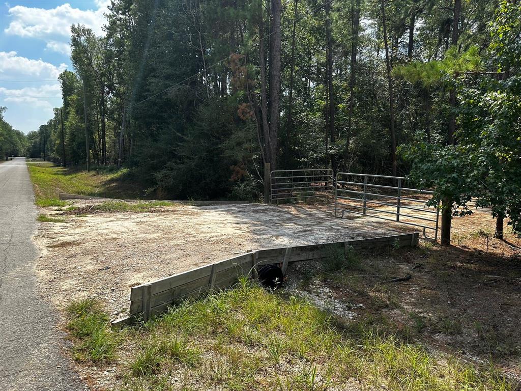 30903 Carrington Dr, Magnolia, TX 77354