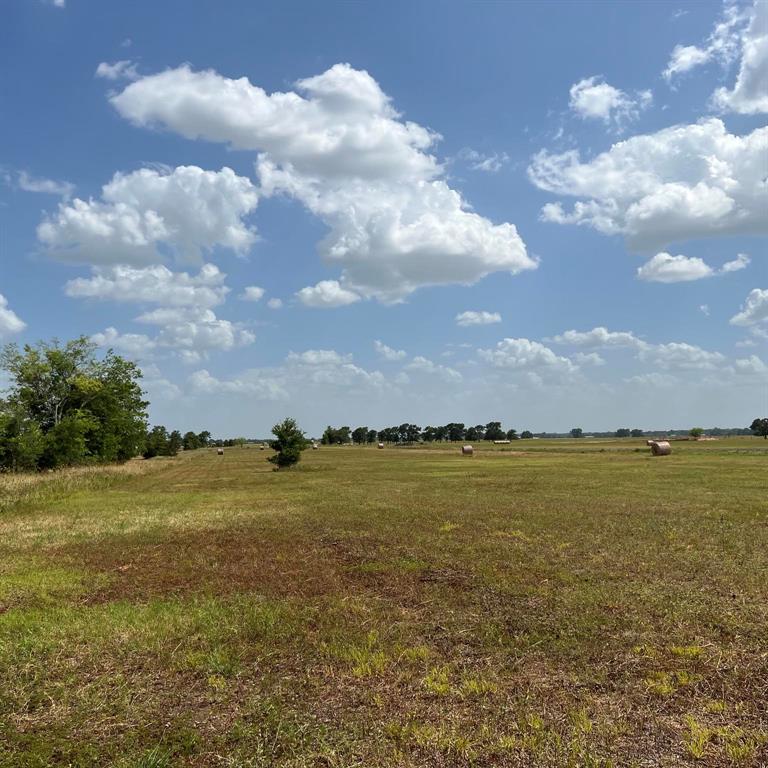 Lot 45 & 46 Back Nine Lane, Navasota, TX 77868