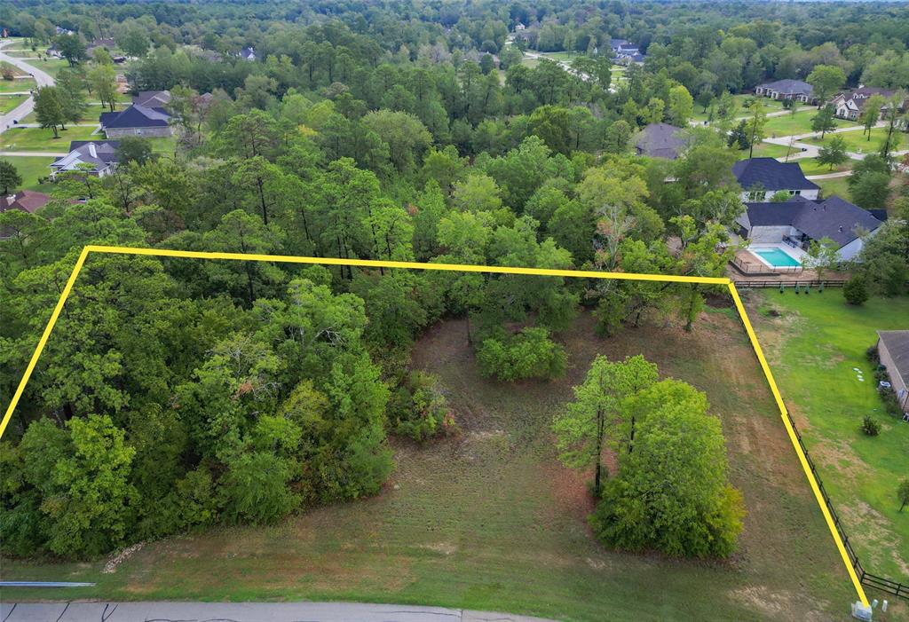 1572 Emerald Lakes Drive, Willis, TX 77378