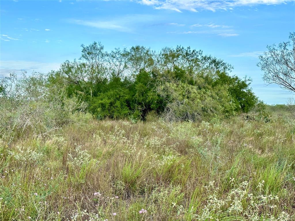 00 FM 3249, Realitos, TX 78376