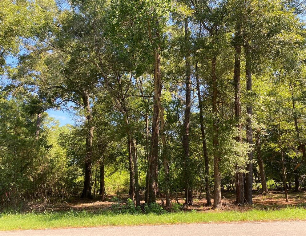 TBD Pin Oak Lane, Houston, TX 77336