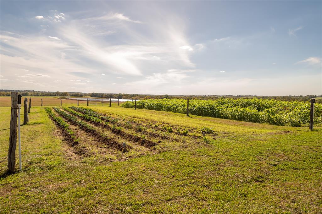 3896 CR 305, Navasota, TX 77868