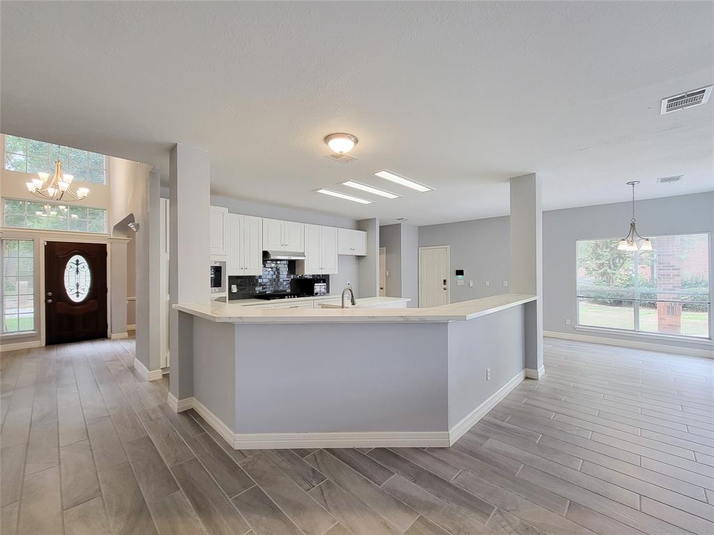 20506 Cannaberry Way, Spring, TX 77388