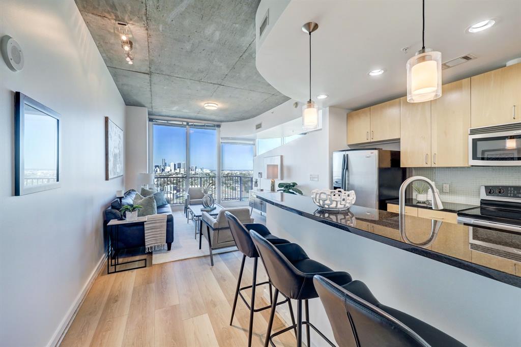 MOSAIC ON HERMANN PARK Condos For Sale in HOUSTON Houston Condo Mania!