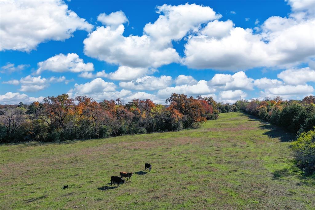 34.14 Acres N Old Springfield Rd, North Zulch, TX 77872