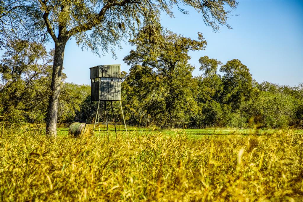 8751 FM 1371, Chappell Hill, TX 77426