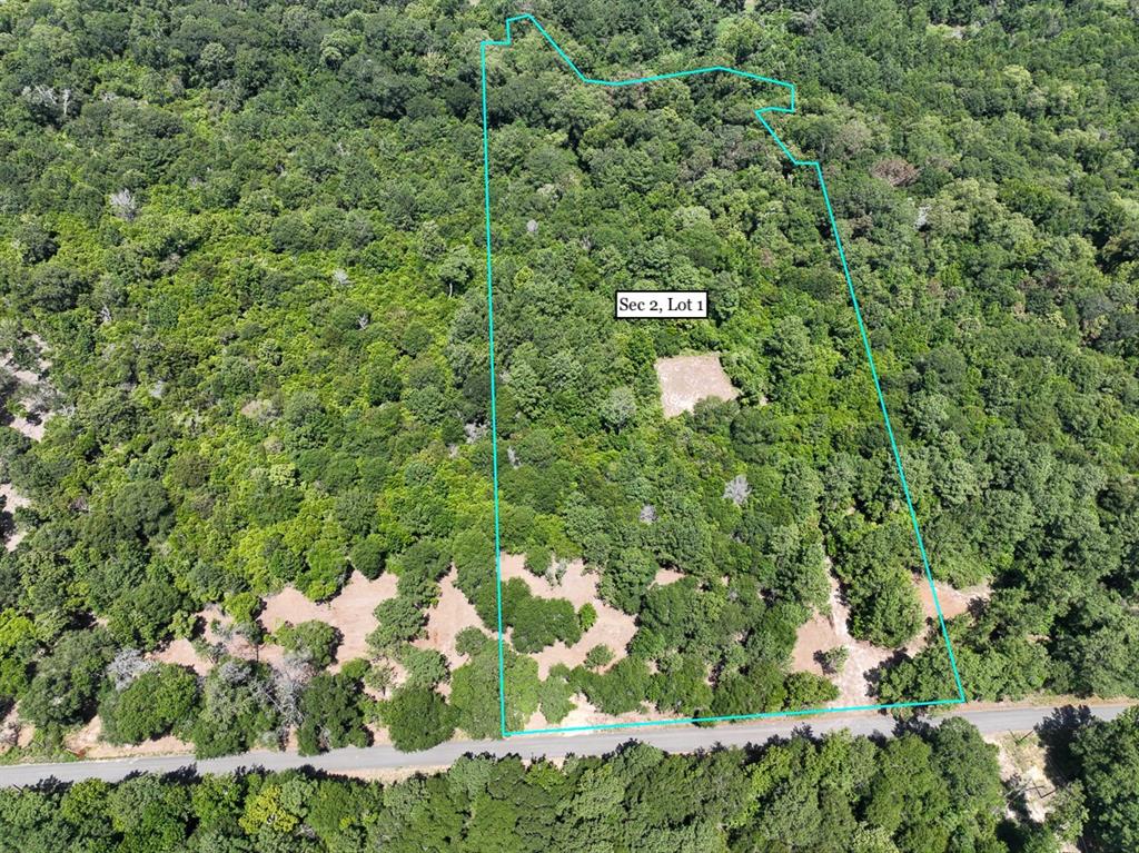 S2L1 Lake Pool Rd, Shepherd, TX 77371