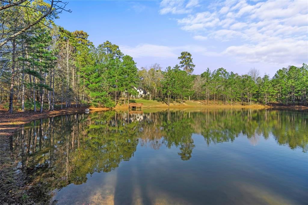 10460 River Ridge Ln, Conroe, TX 77304