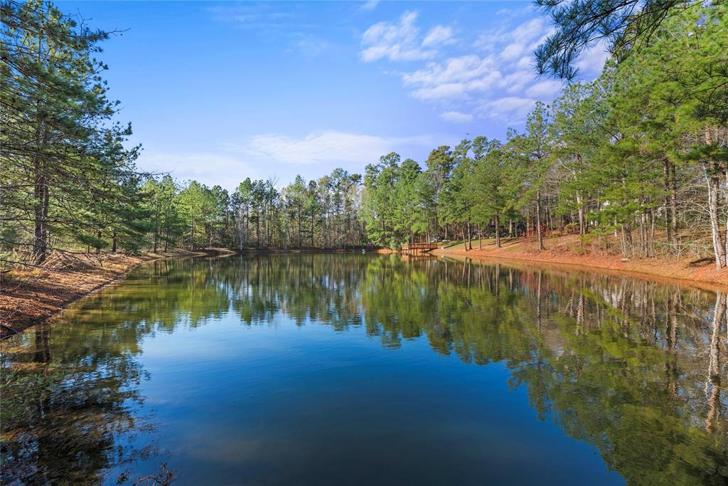 10460 River Ridge Ln, Conroe, TX 77304