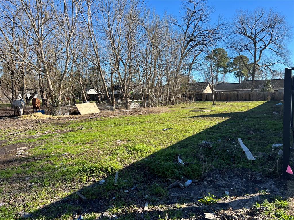 1027 Adolph Drive, Houston, TX 77091