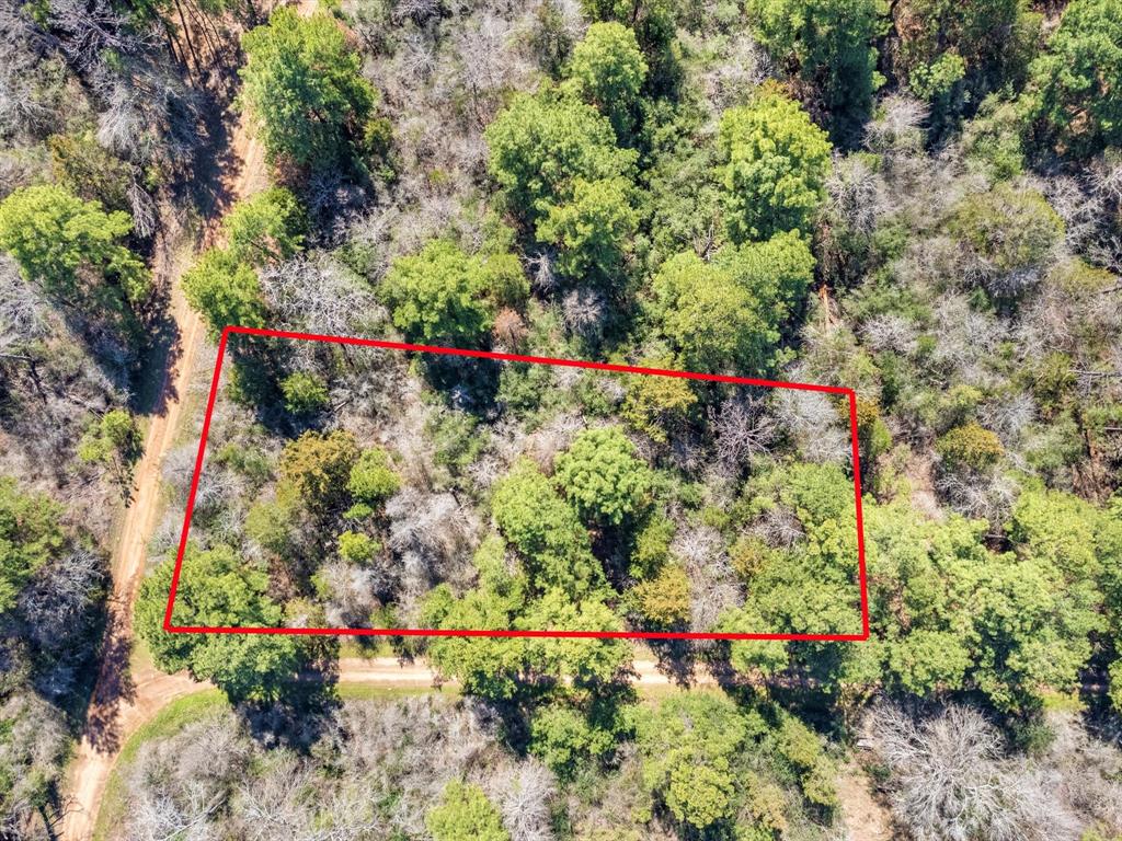 26390 Deerwood Drive, Hempstead, TX 77445