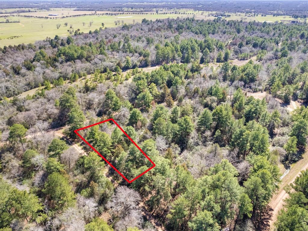 26390 Deerwood Drive, Hempstead, TX 77445