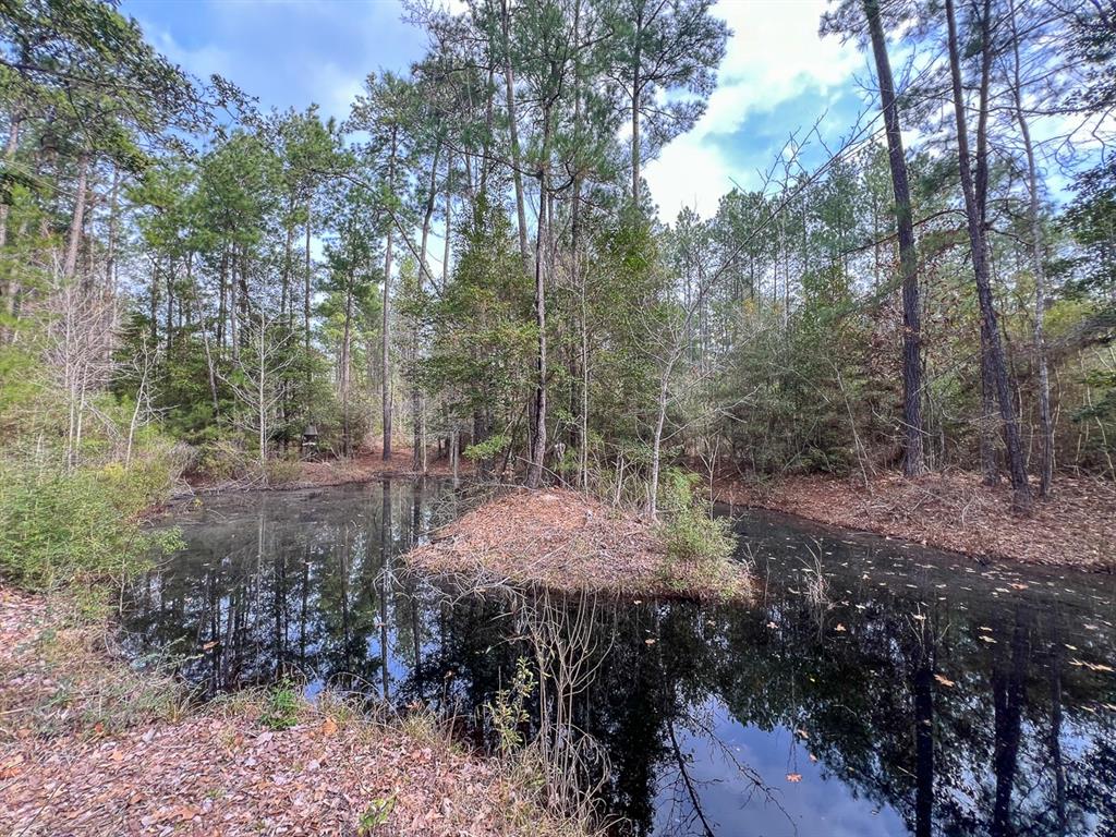 TBD CR 366, Zavalla, TX 75980