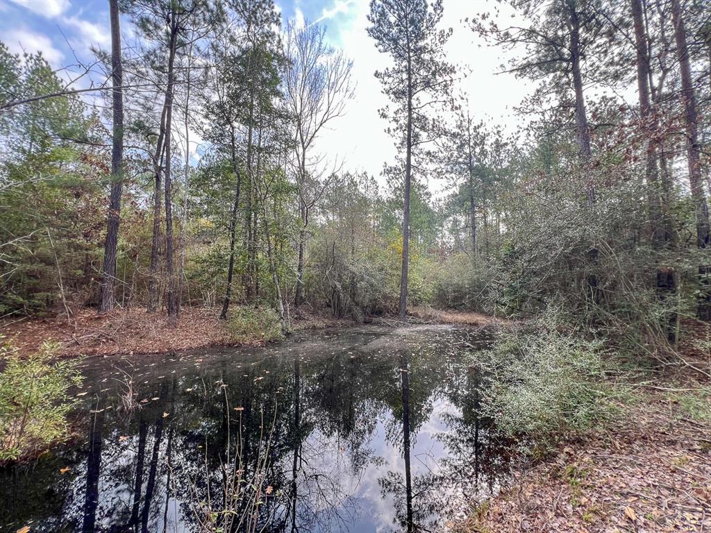 TBD CR 366, Zavalla, TX 75980