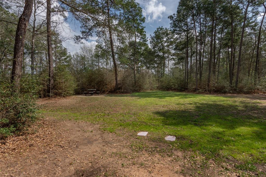 26500 Saddle Horn Drive, Waller, TX 77484