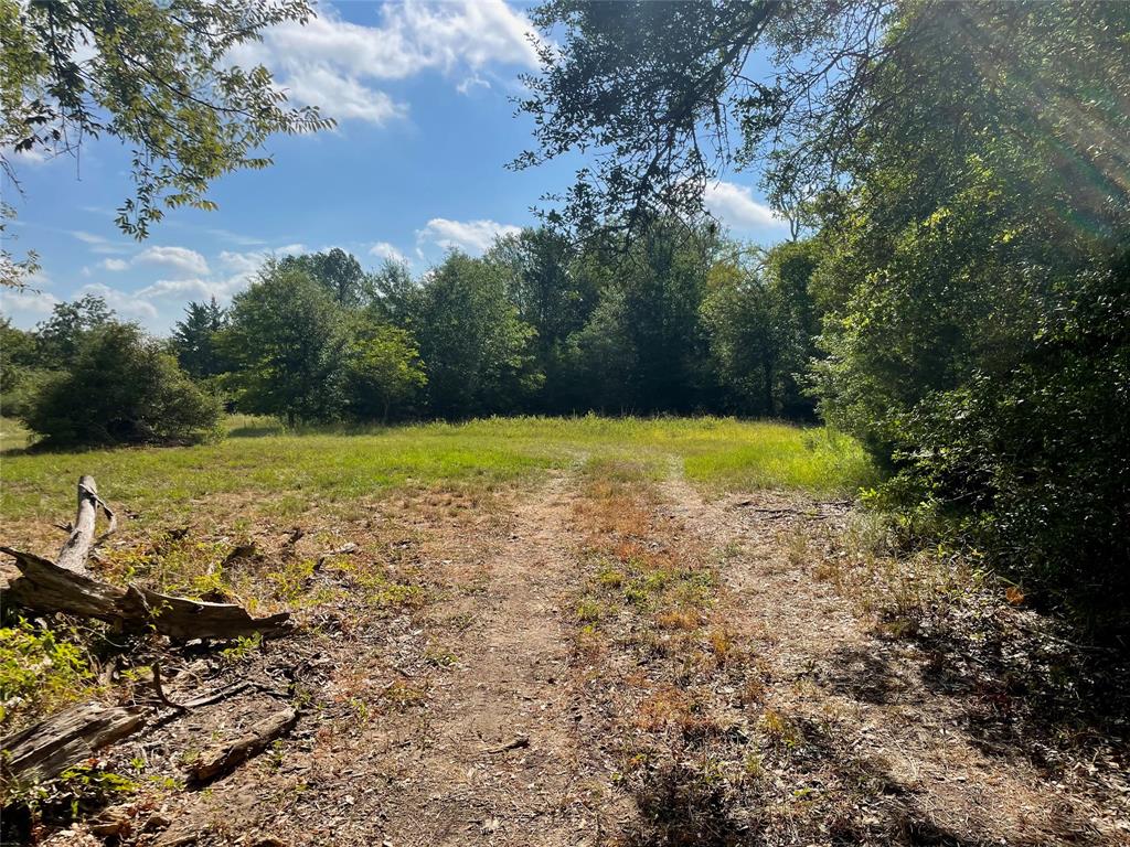 17855 Wellmann Rd, Washington, TX 77880